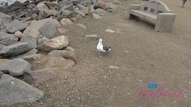 Скриншот 6